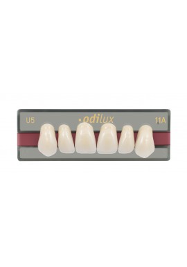 DENTS ODILUX