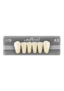 DENTS ODIPAL