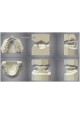 ARCHIVAGE ORTHODONTIE