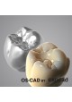 TOOTH LIBRARY - OS-CAD  BY EXOCAD