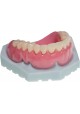 Accufab F1 - Imprimante 3D