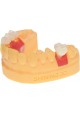 Accufab F1 - Imprimante 3D