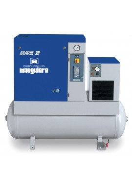 MAV RS 81-10/20 270 TRIPHASE - Compresseur Mauguière