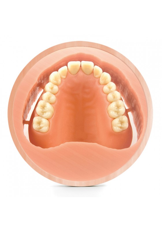 DISQUE PMMA PINK - OPERA SYSTEM