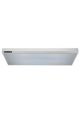 PLAFONNIER 2865