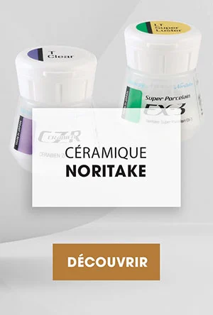 CERAMIQUE NORITAKE