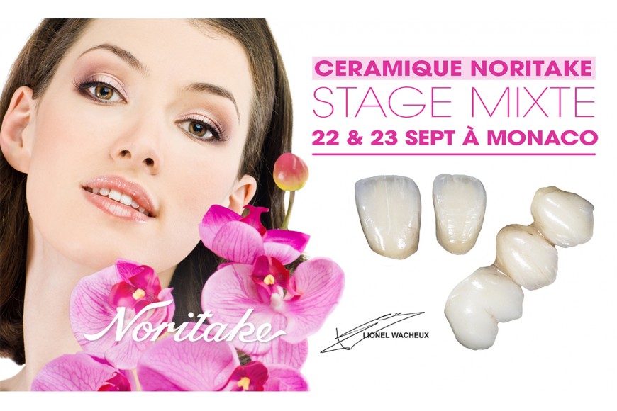 Stage Mixte - Céramique Noritake